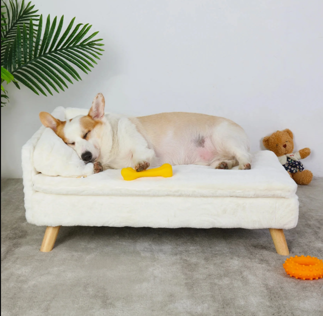 Divano per Animali — Design ad Angolo Sollevato