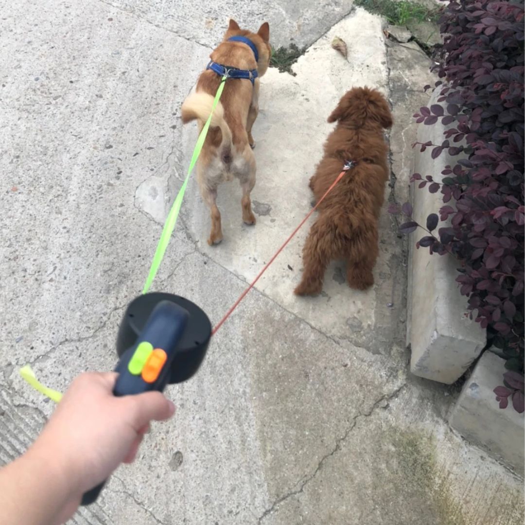 Hondenriem met Dubbele Retractie – Met LED-lamp en Zakjesdispenser