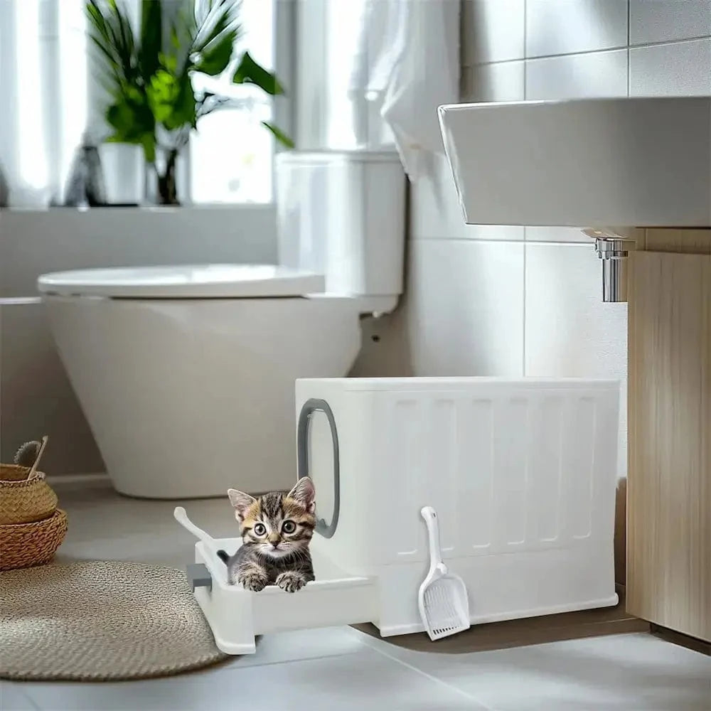 Litière Pour Chat Anti-Odeur – Propreté Et Confort Assurés