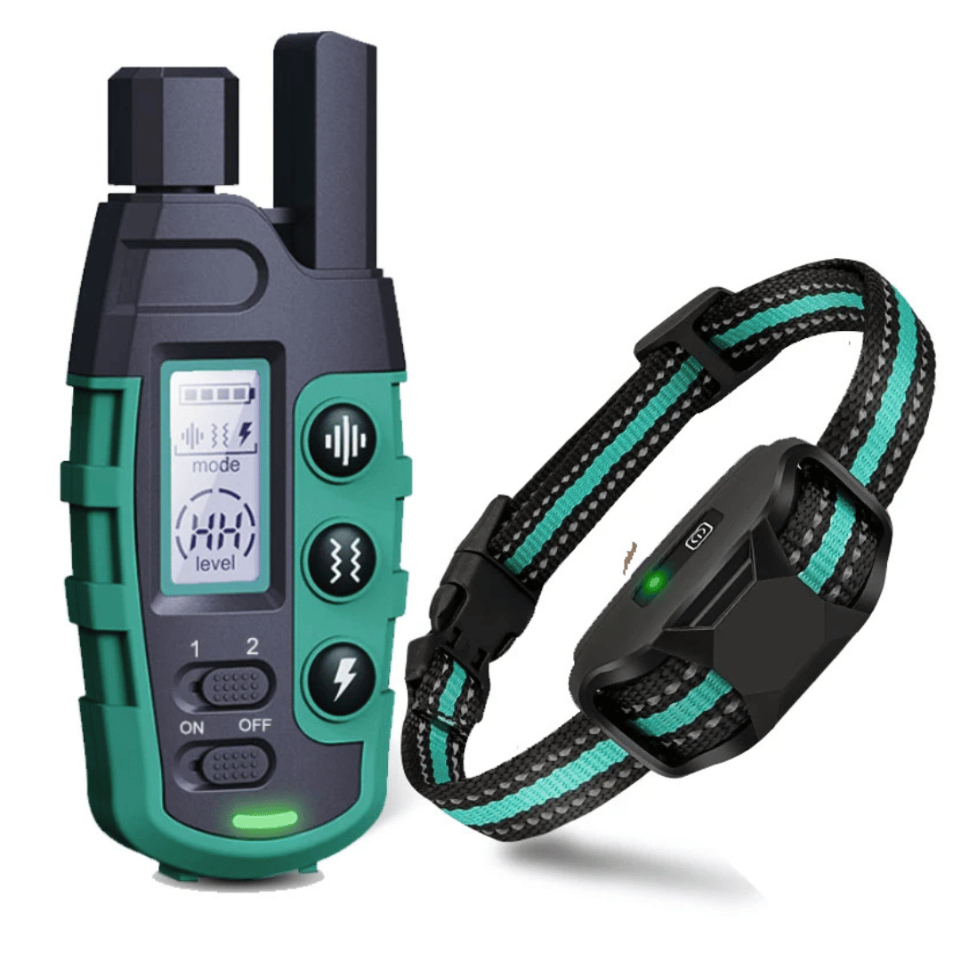 Fernbedienbarer Trainingshalsband – Wasserdicht, Wiederaufladbar und Reichweite 1000 m