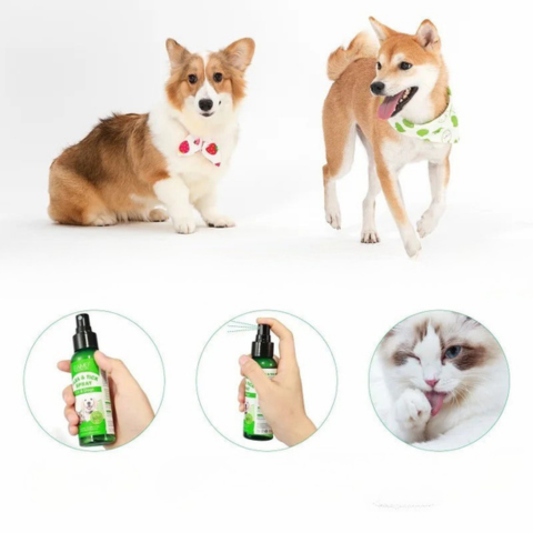 Naturlig Langvarig Anti-Parasitt Spray — Effektiv Beskyttelse Hver Dag