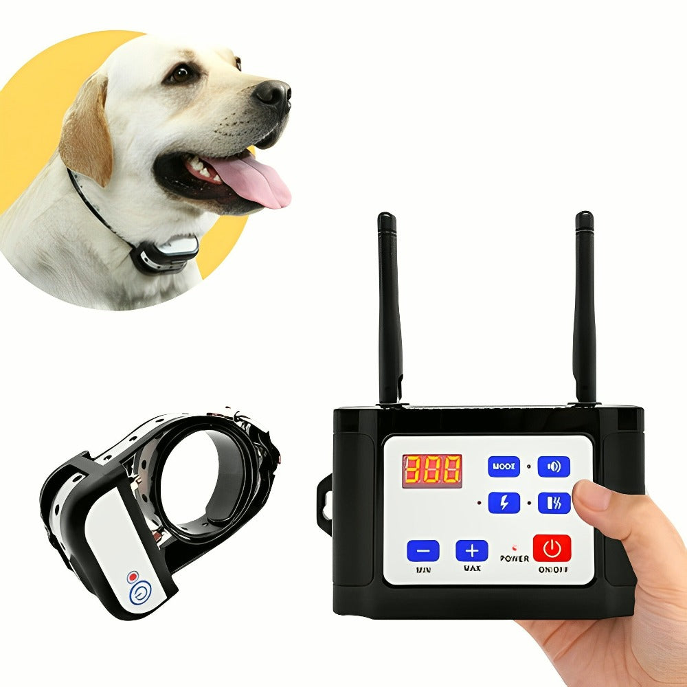 Système De Clôture Sans Fil Pour Chien Avec Collier De Dressage — Sécurité Totale Et Liberté Contrôlée