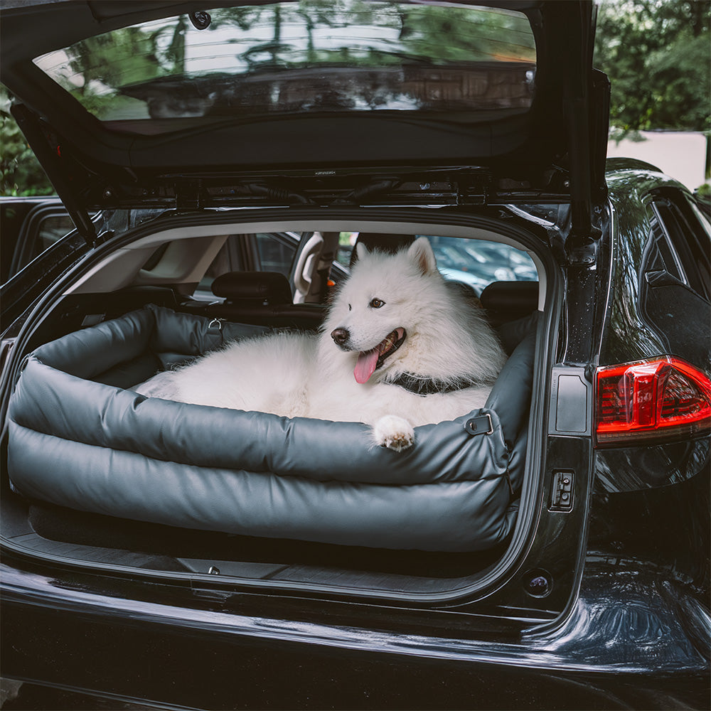 Cadeira de Auto para Cão – Conforto e Proteção