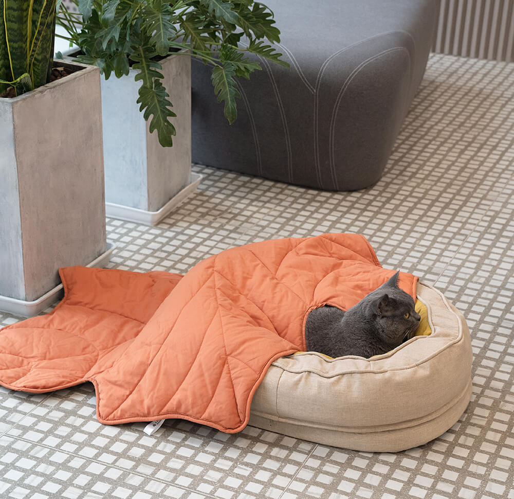 Cama em Forma de Donut para Cão – Conforto e Suavidade 