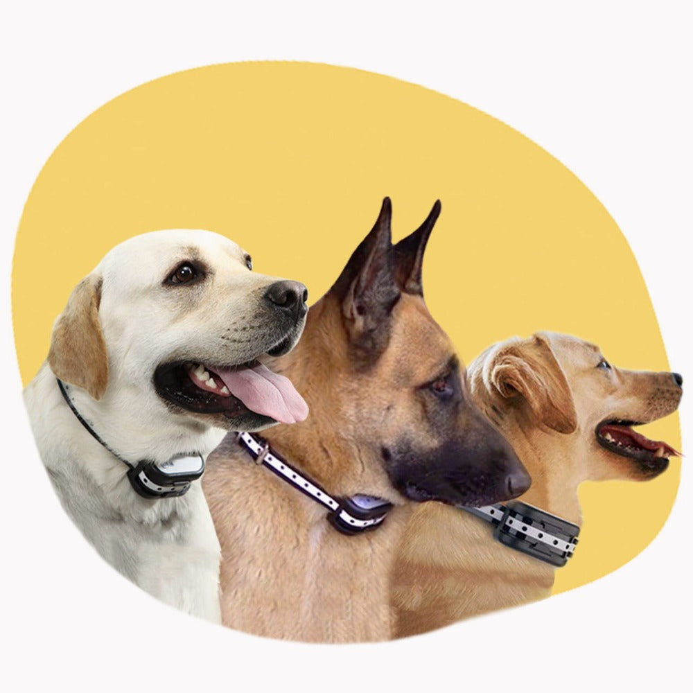 Trådløs Elektronisk Zaun Med Krave – Sikkerhed For Din Hund 