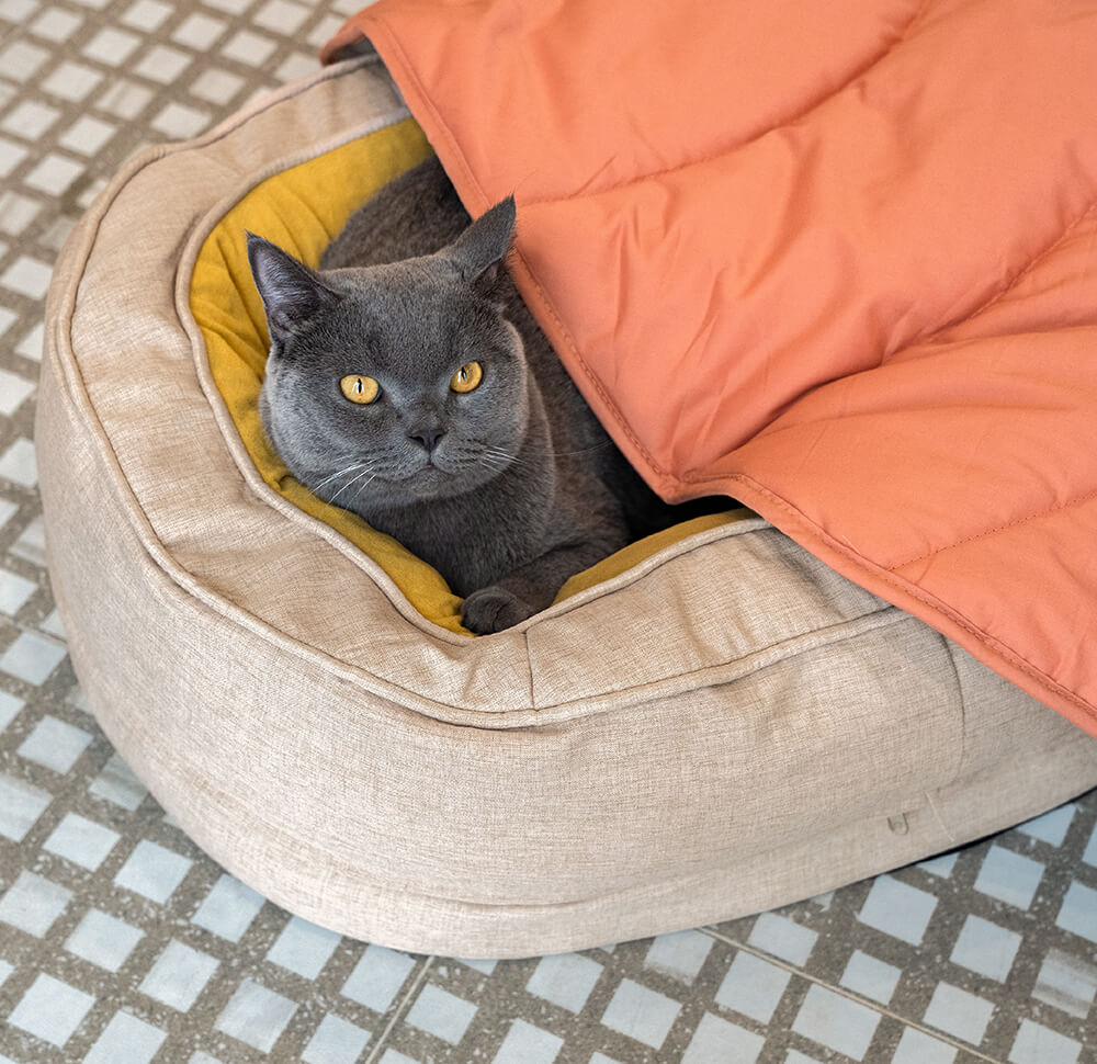 Cama em Forma de Donut para Cão – Conforto e Suavidade 