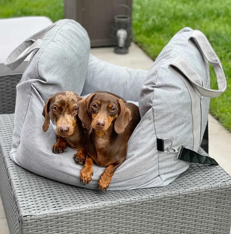Cama de viagem calmante para cães - Descanso tranquilo e fácil de transportar