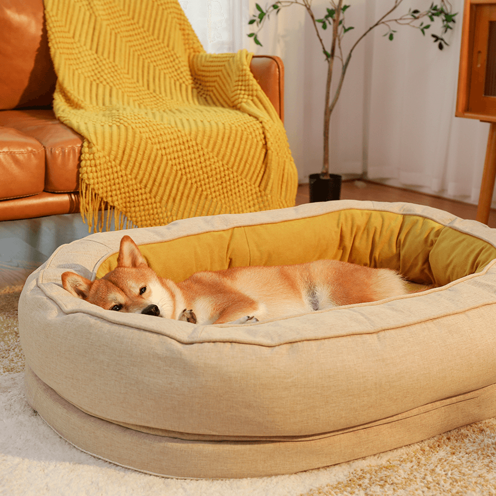Cama em Forma de Donut para Cão – Conforto e Suavidade 