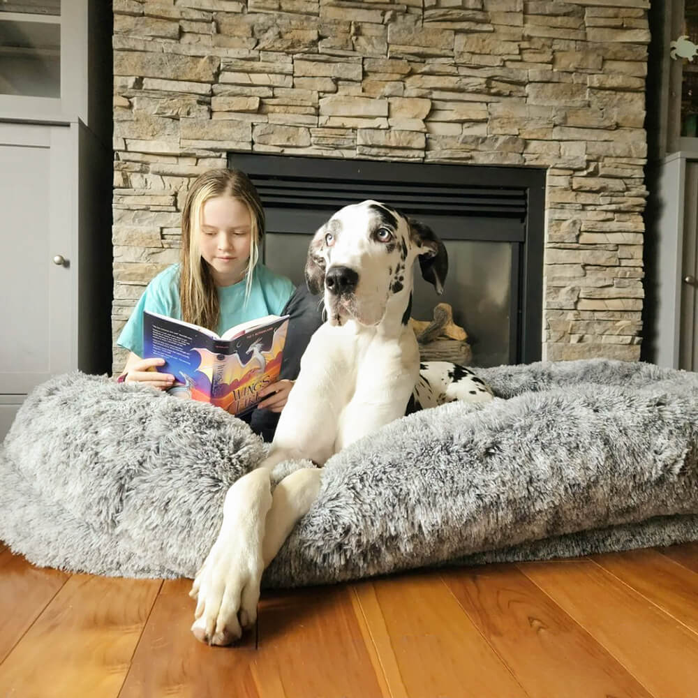 Cama em Forma de Donut para Cão – Conforto e Suavidade 