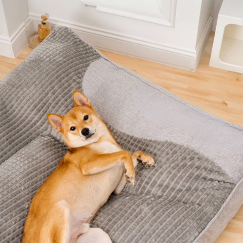 Großes Hundekissen – Optimaler Komfort und weiche Unterstützung 