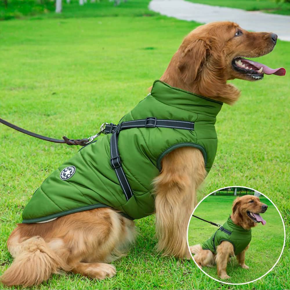 Parka Impermeabile Per Cani - Protezione & Stile 