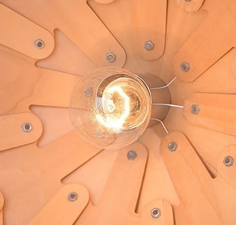 Lampada sospesa scultorea – Design ispirato alla natura 
